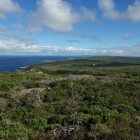 Stony Hill Lookout (Torndirrup National Park bei Albany)